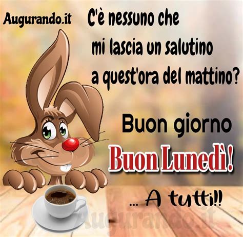 immagini divertenti buon lunedi